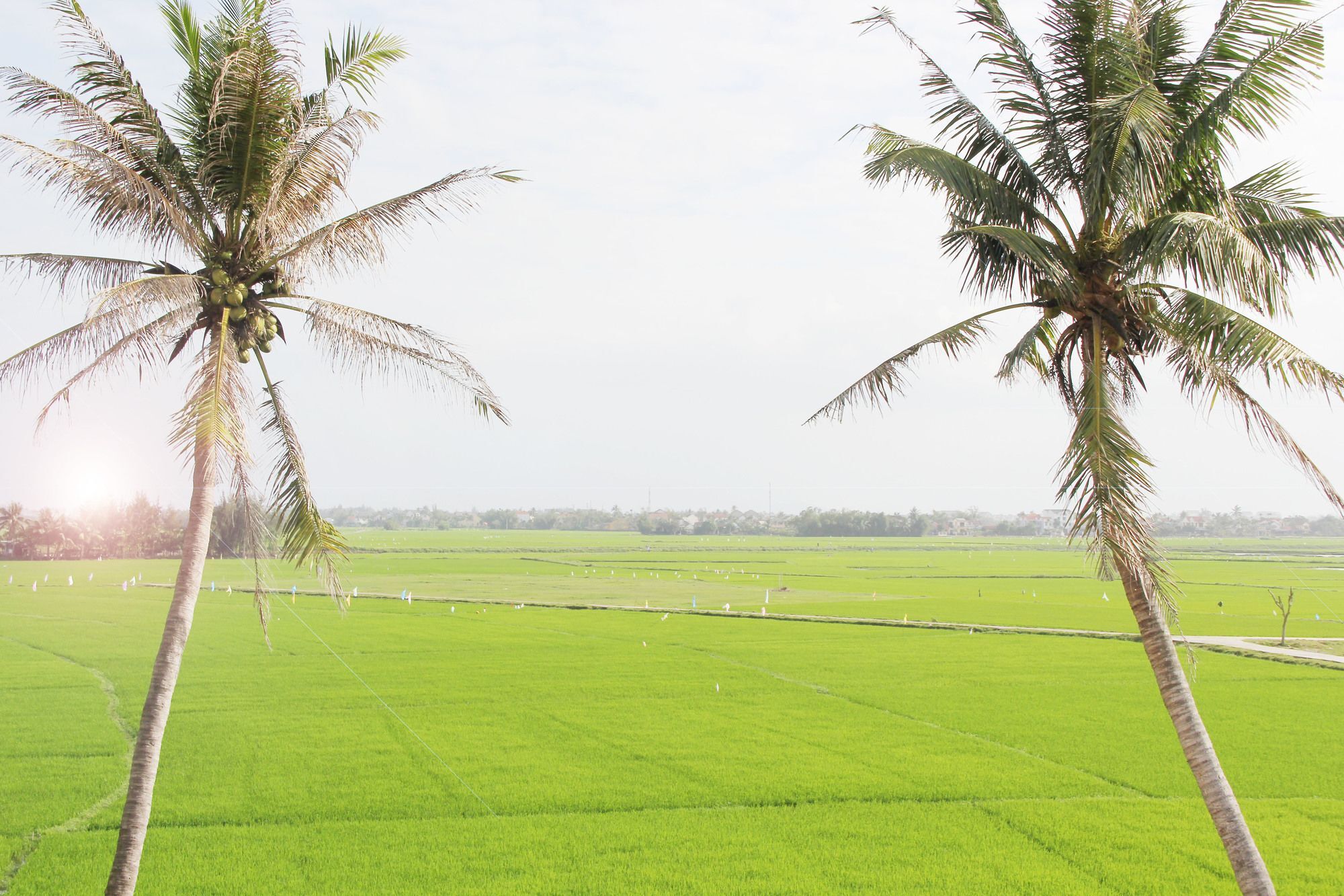 Hoi An Four Season Villa Exterior photo